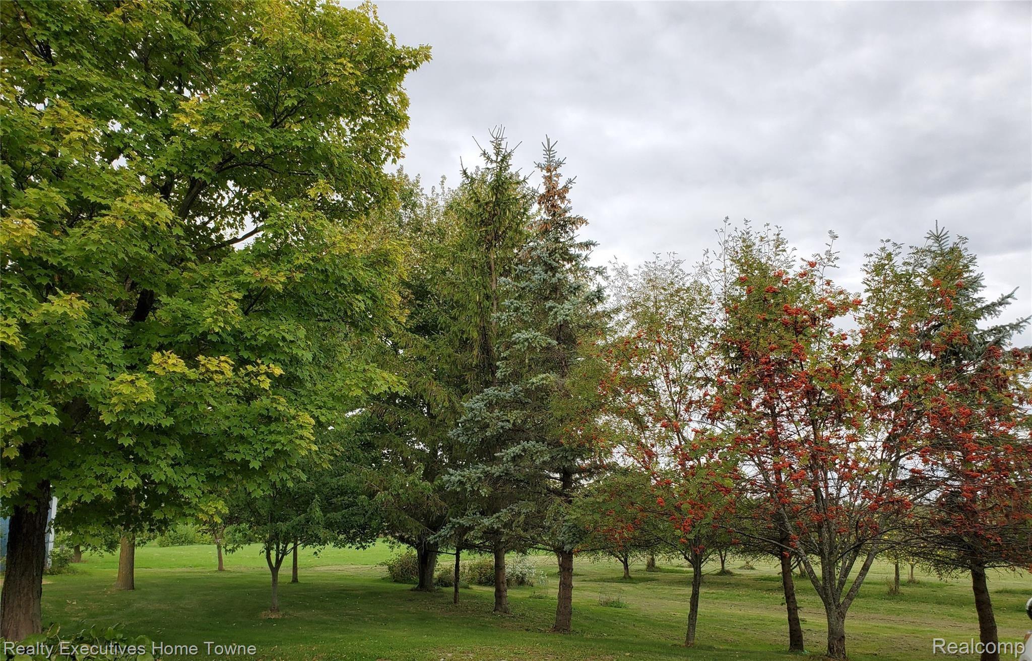 7986 Wildcat Road Croswell, MI 48422 - Photo 23 of 28 1438.jpg