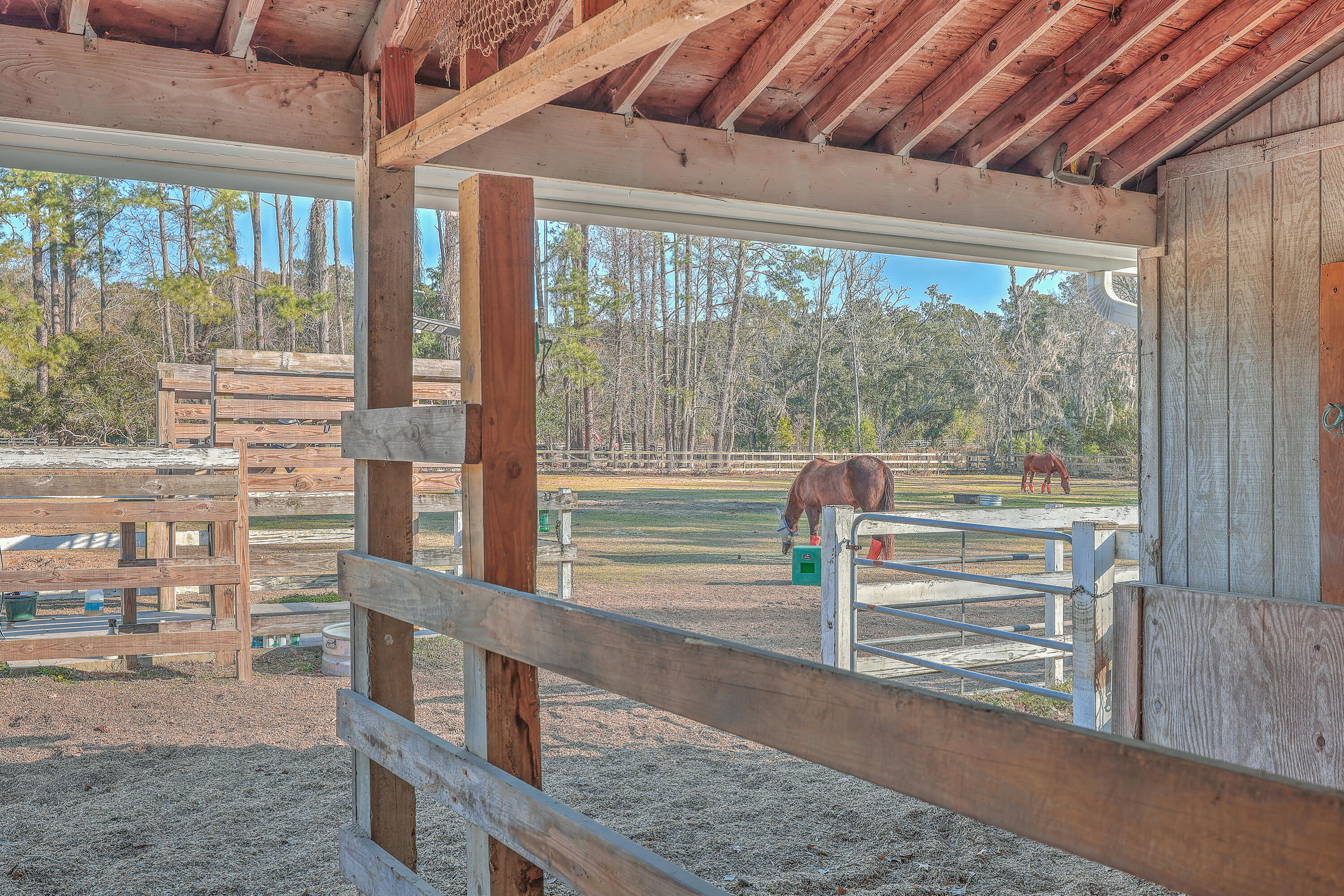 3980 River Road Johns Island, SC 29455 - Photo 70 of 110 ZYN_8282_3_4_5_6_7_8