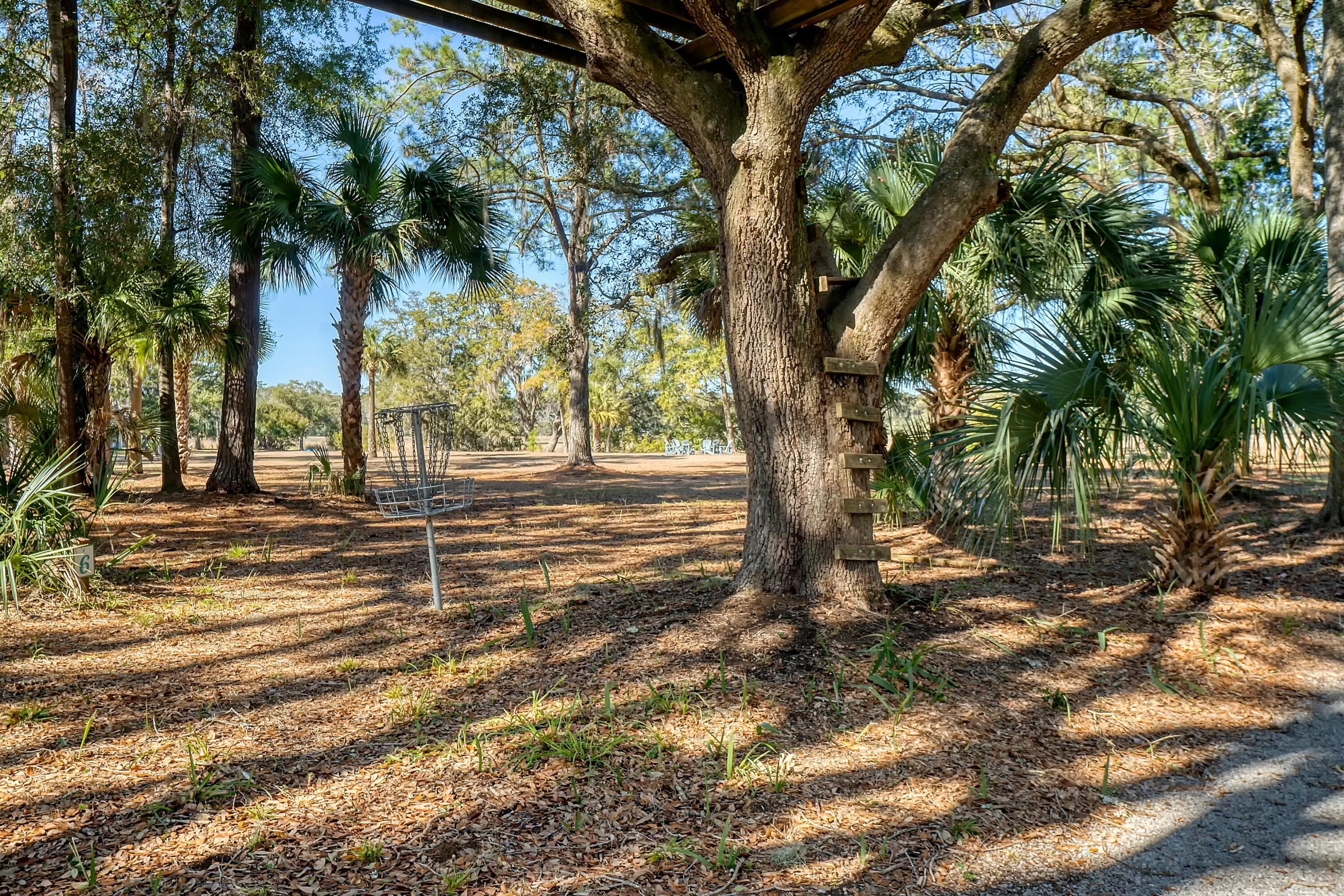 8934 Sandy Creek Road Edisto Island, SC 29438 - Photo 102 of 104 tempImageqc3HrO
