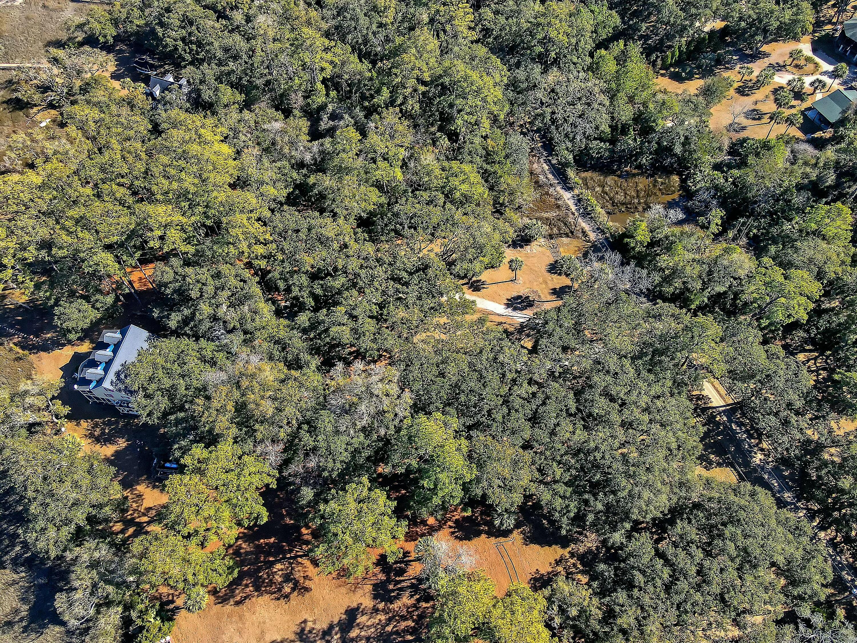 8934 Sandy Creek Road Edisto Island, SC 29438 - Photo 8 of 104 tempImagestlMQM