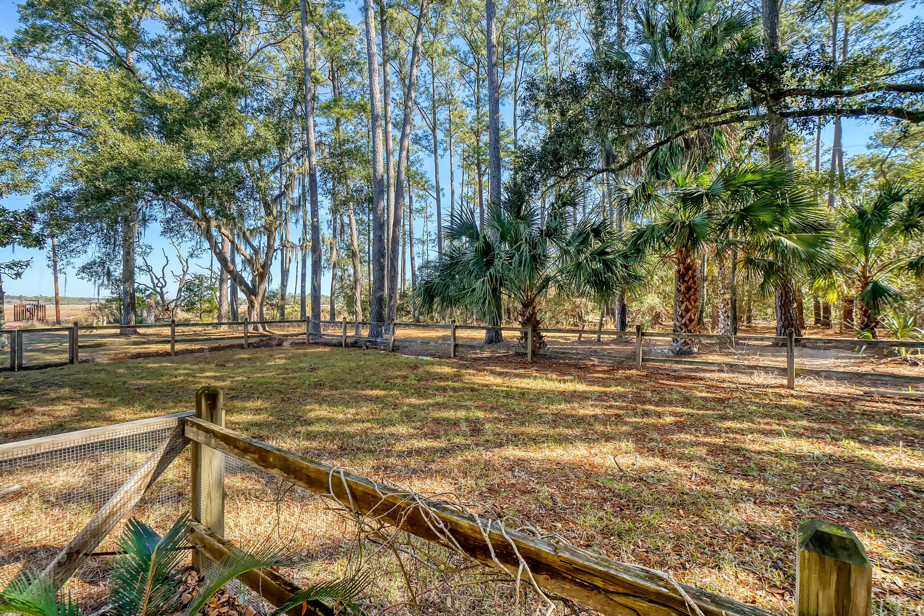 8934 Sandy Creek Road Edisto Island, SC 29438 - Photo 83 of 104 tempImage5sFXGG