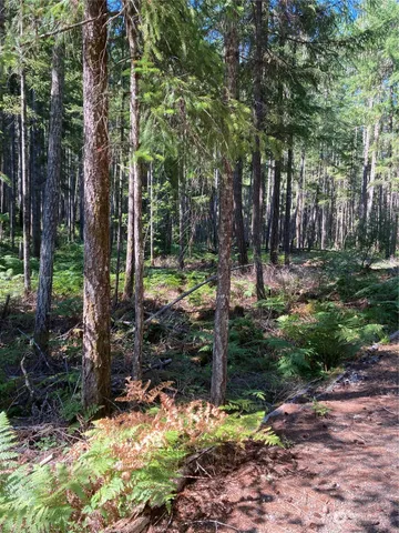 $50,000 | 341 Rainbow Way West, Hoodsport, WA 98548