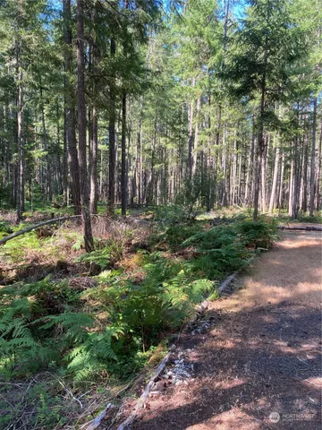 $50,000 | 341 Rainbow Way West, Hoodsport, WA 98548