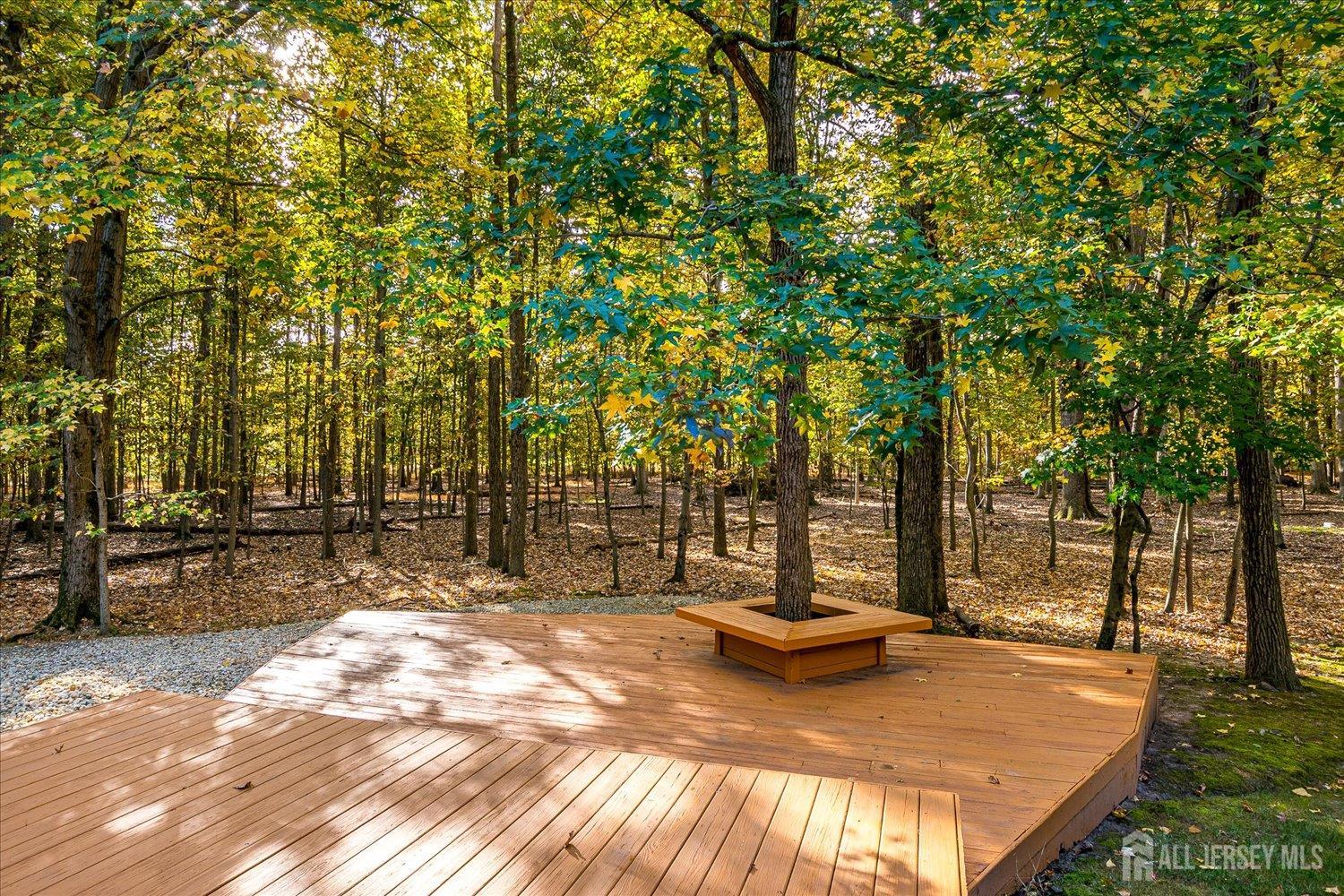 8 Woodmere Road North Brunswick, NJ 08902 - Photo 3 of 23