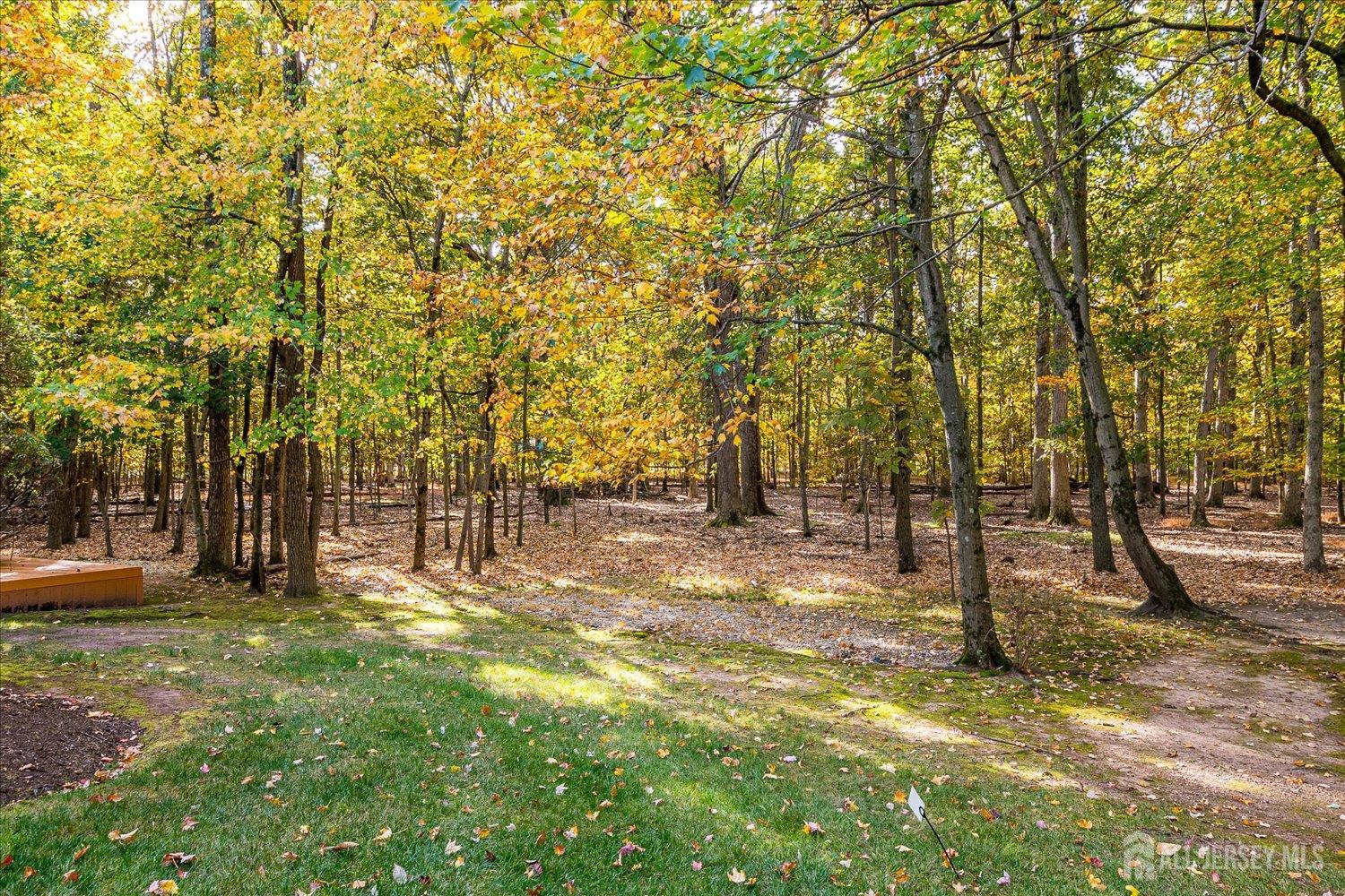 8 Woodmere Road North Brunswick, NJ 08902 - Photo 4 of 23