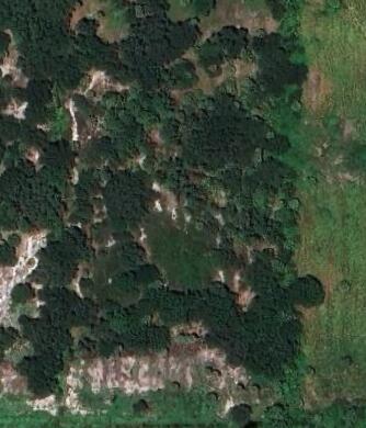 Tbdd Southwest Arrowroot Road Indiantown, FL 34956 - Photo 2 of 5 Screen Shot 2024-07-23 at 2.52.00 PM