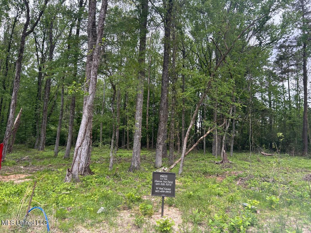 Bridgewater Bend Bend Ridgeland, MS 39157 - Photo 2 of 2 bridgewater 2