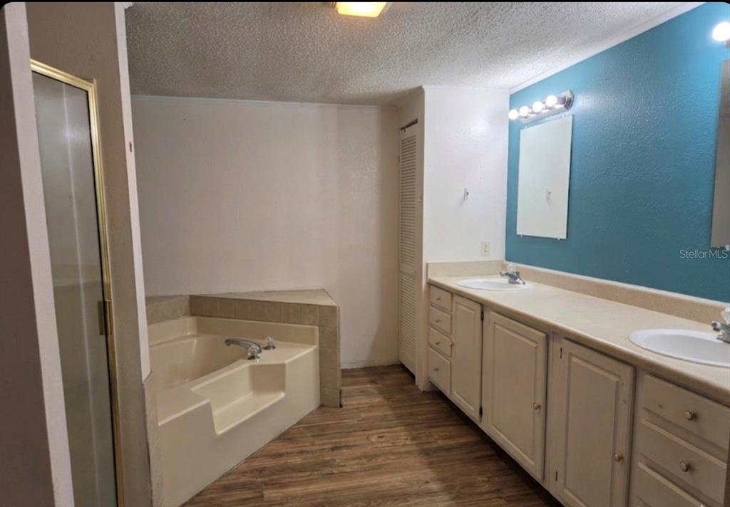4738 Southwest 166th Court Road Ocala, FL 34481 - Photo 7 of 14 a spacious bathroom with a double vanity sink and a mirror