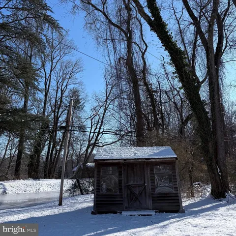 a view of a yard with trees