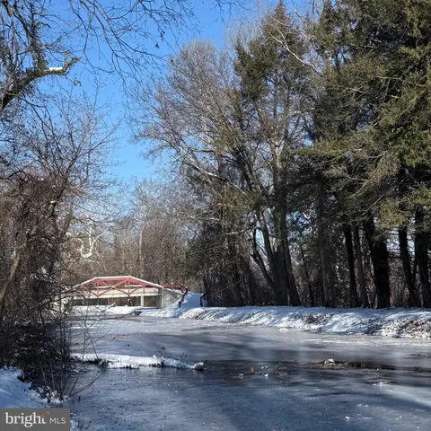 a view of a yard with large trees