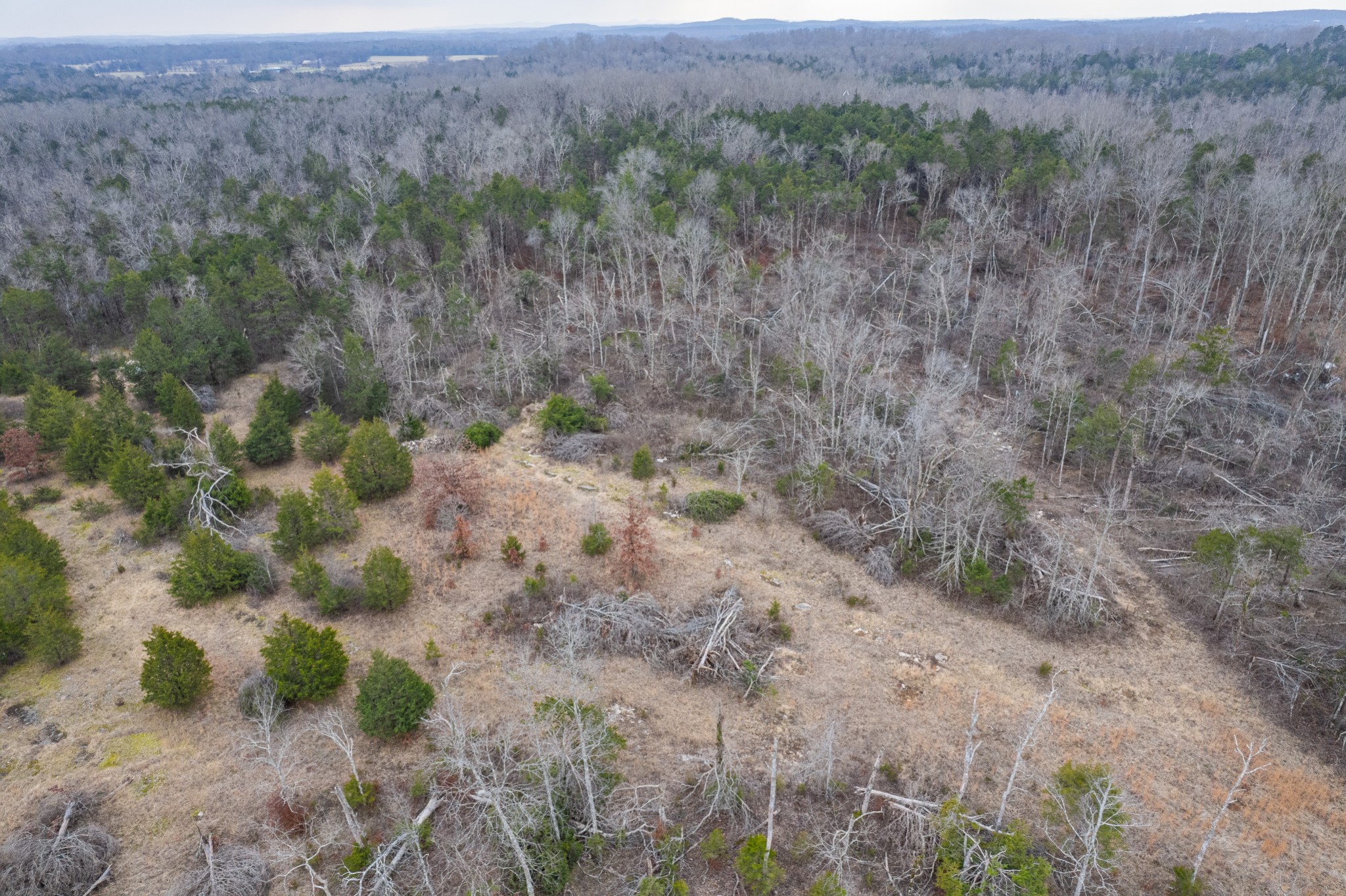 5036 Kedron Road Columbia, TN 38401 - Photo 17 of 46