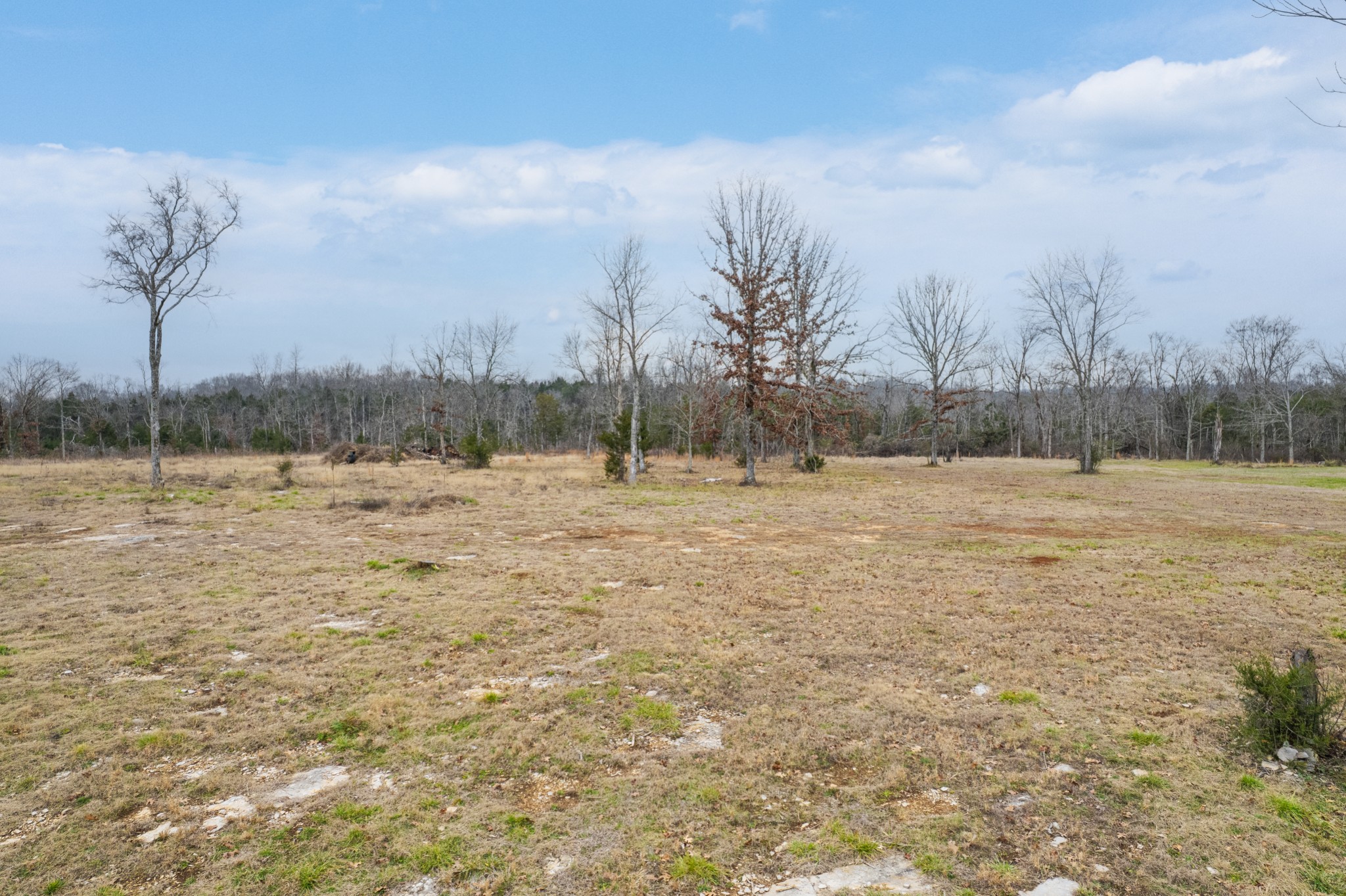 5036 Kedron Road Columbia, TN 38401 - Photo 22 of 46