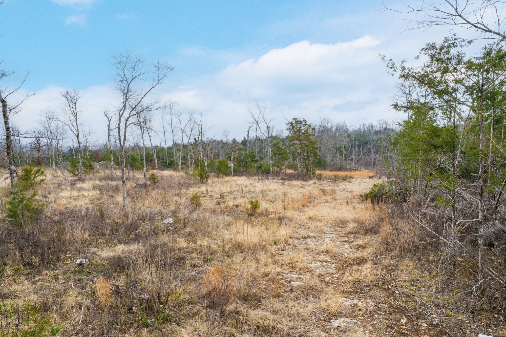 5036 Kedron Road Columbia, TN 38401 - Photo 30 of 46