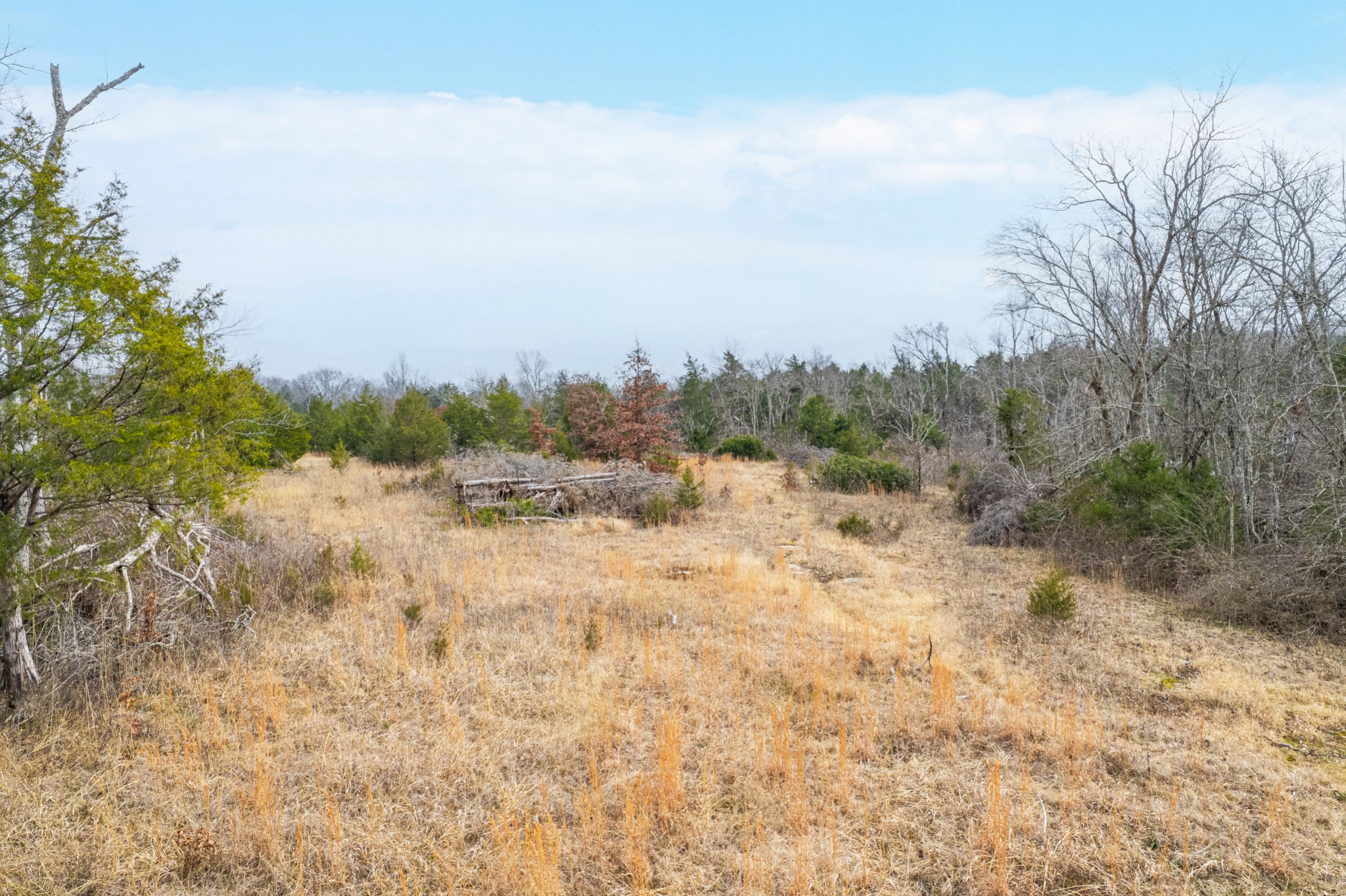 5036 Kedron Road Columbia, TN 38401 - Photo 32 of 46