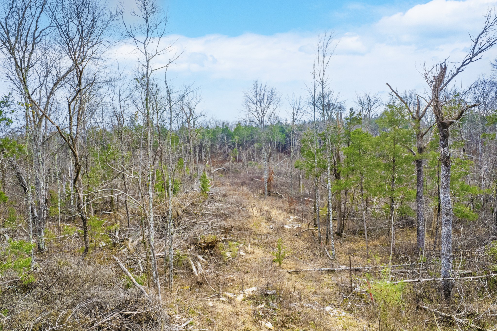 5036 Kedron Road Columbia, TN 38401 - Photo 33 of 46