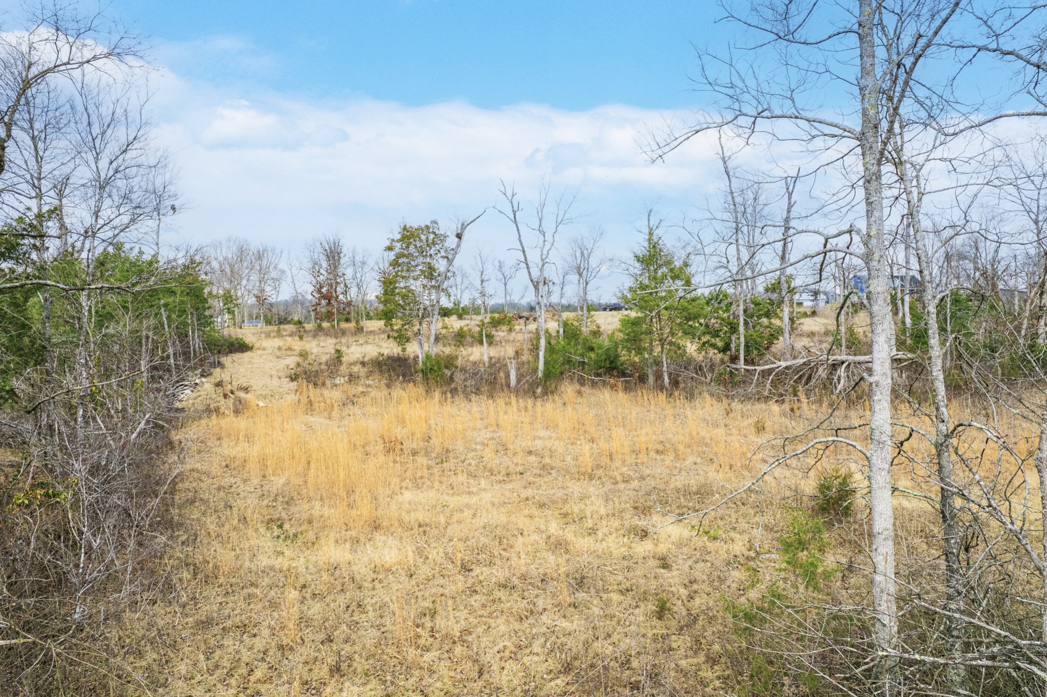 5036 Kedron Road Columbia, TN 38401 - Photo 34 of 46