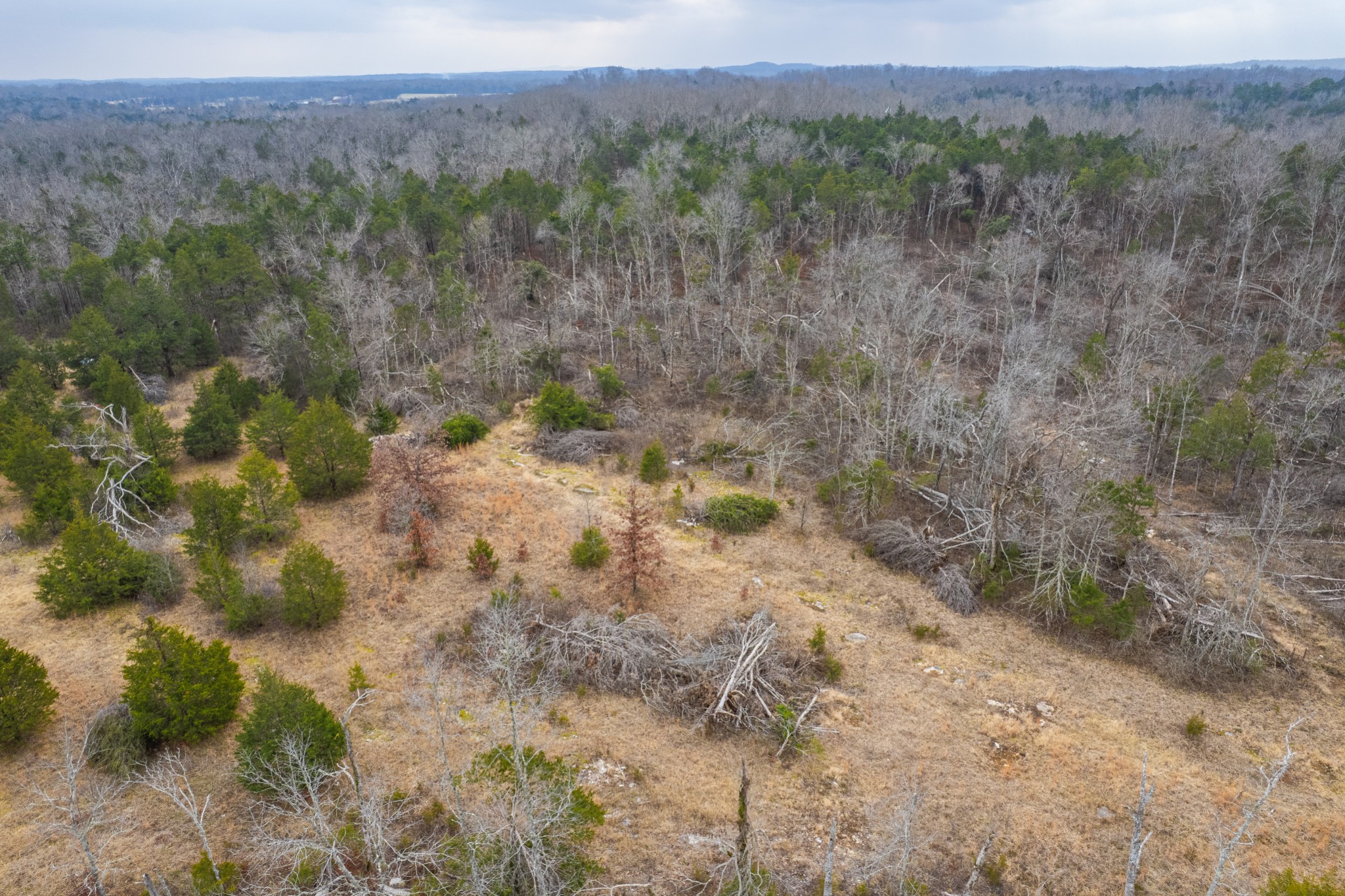 5036 Kedron Road Columbia, TN 38401 - Photo 38 of 46