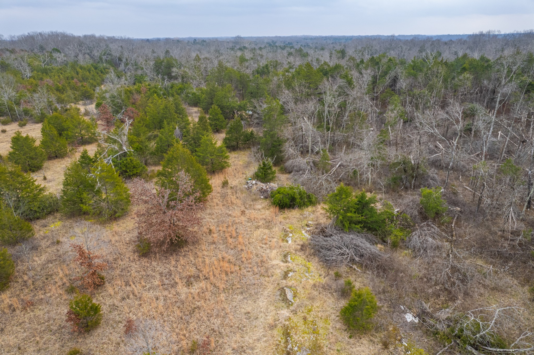 5036 Kedron Road Columbia, TN 38401 - Photo 39 of 46