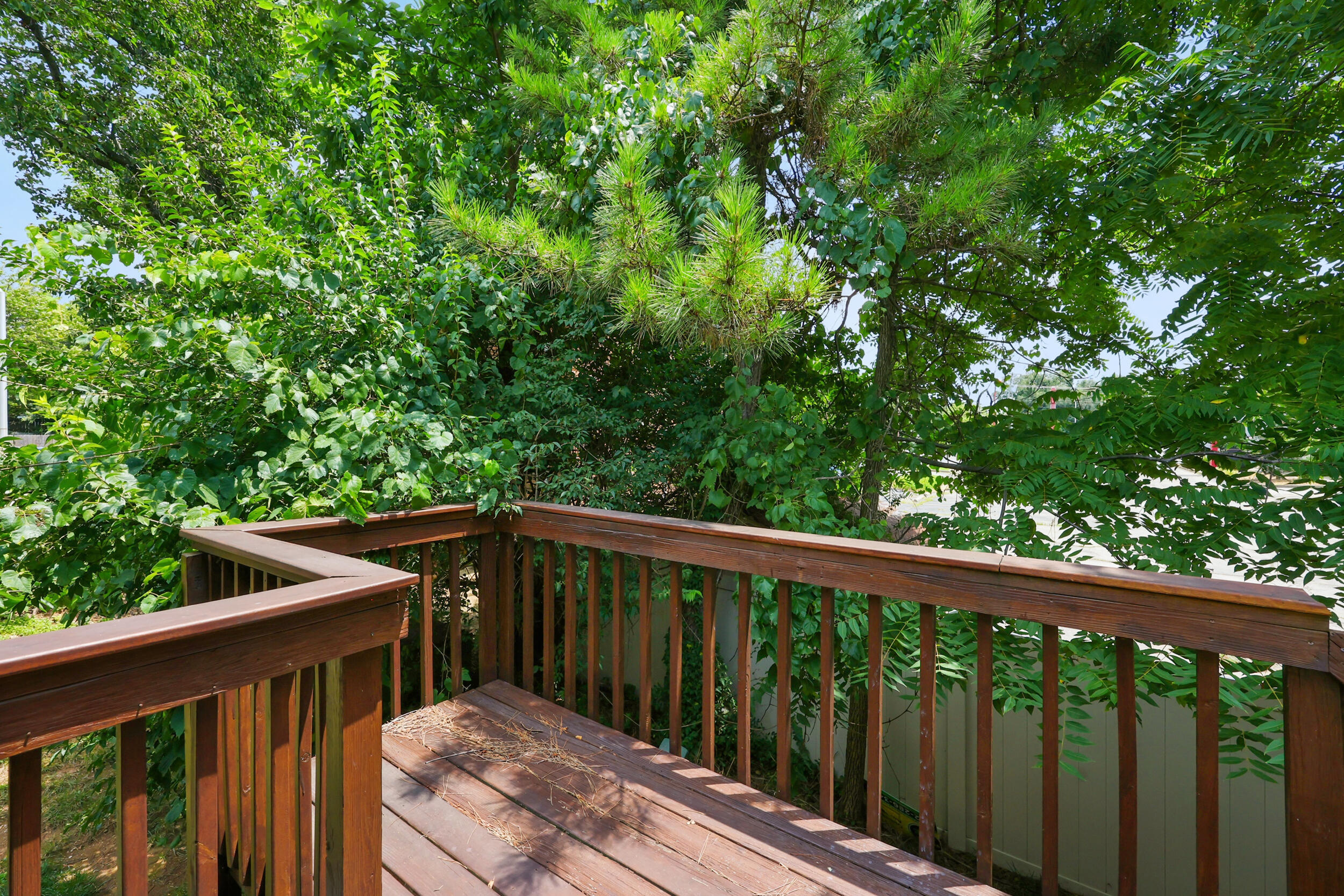 726 Spring Meadows Drive Lexington, KY 40504 - Photo 14 of 24 img_7918