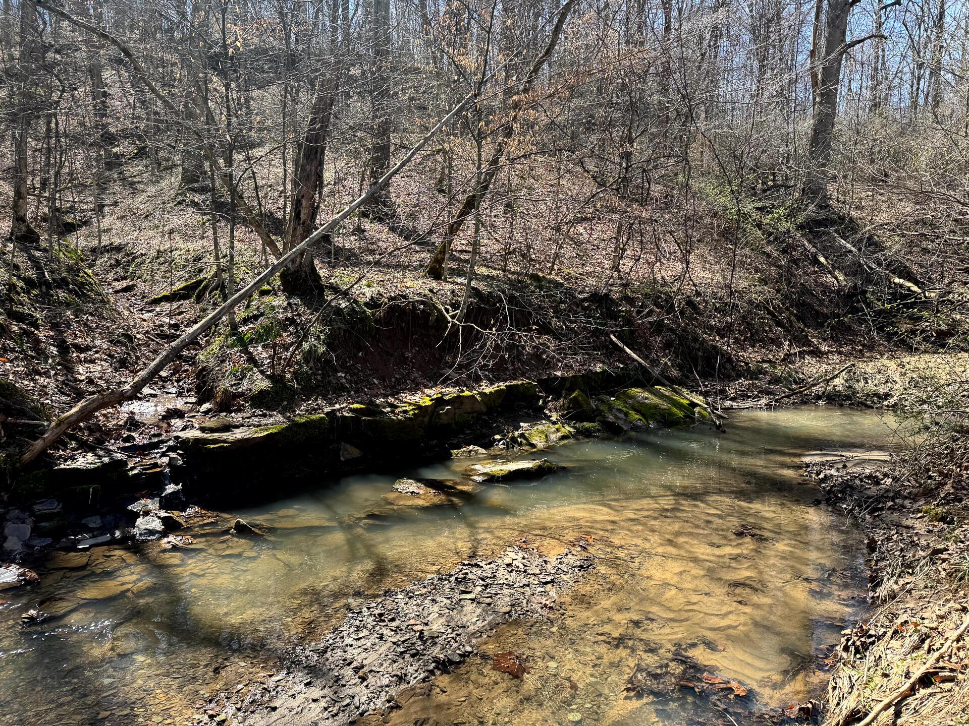 0 Remely Road, Unit MILLSTONE CAVES TRACT 1) Cutler, OH 45724 - Photo 32 of 41 CT-33