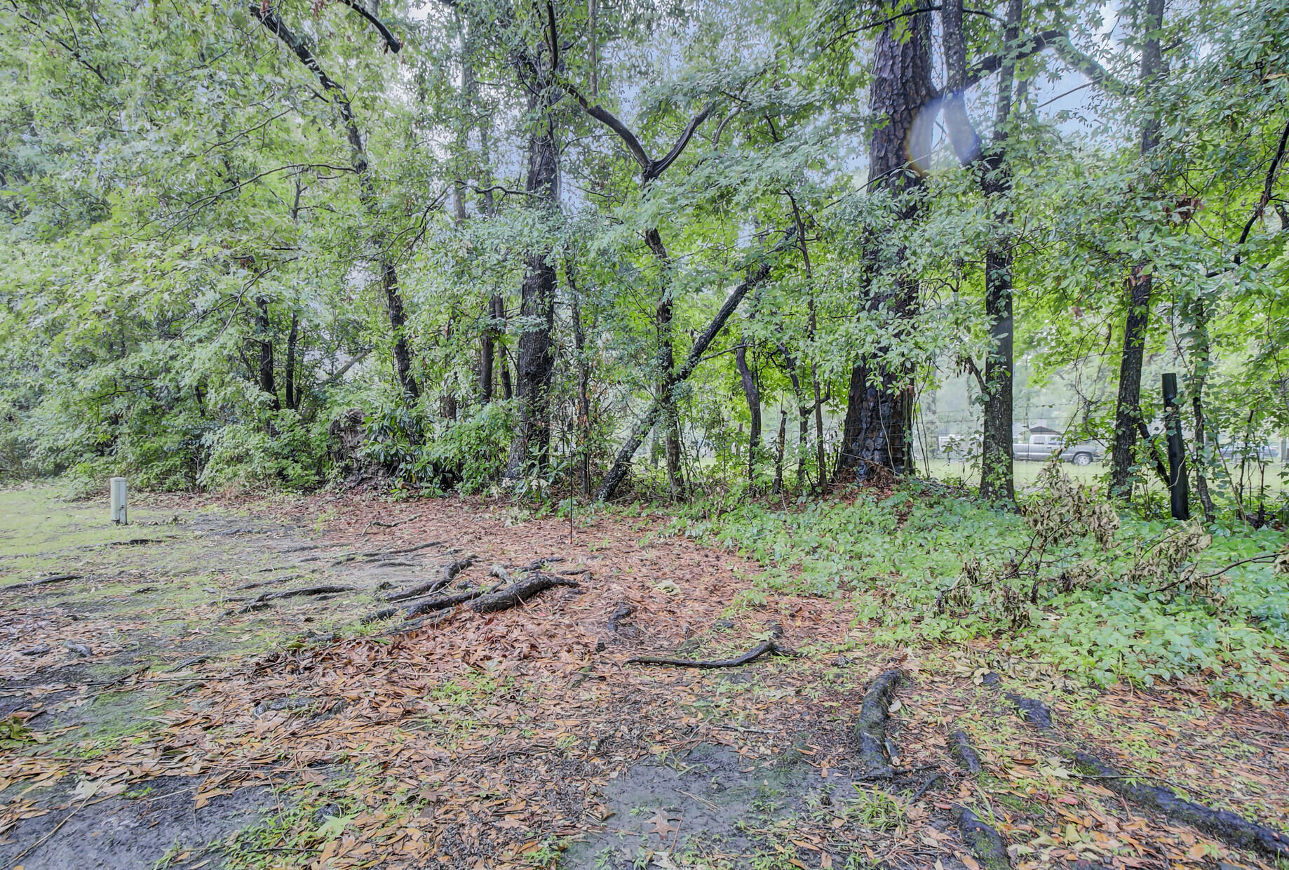 2362 Parsonage Road, Unit 13J Charleston, SC 29414 - Photo 16 of 19 Backyard