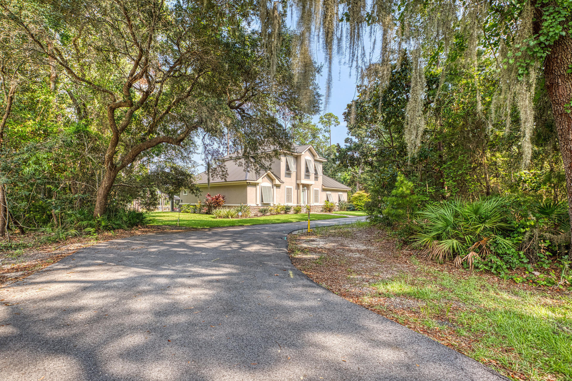 a view of a yard with plants and trees