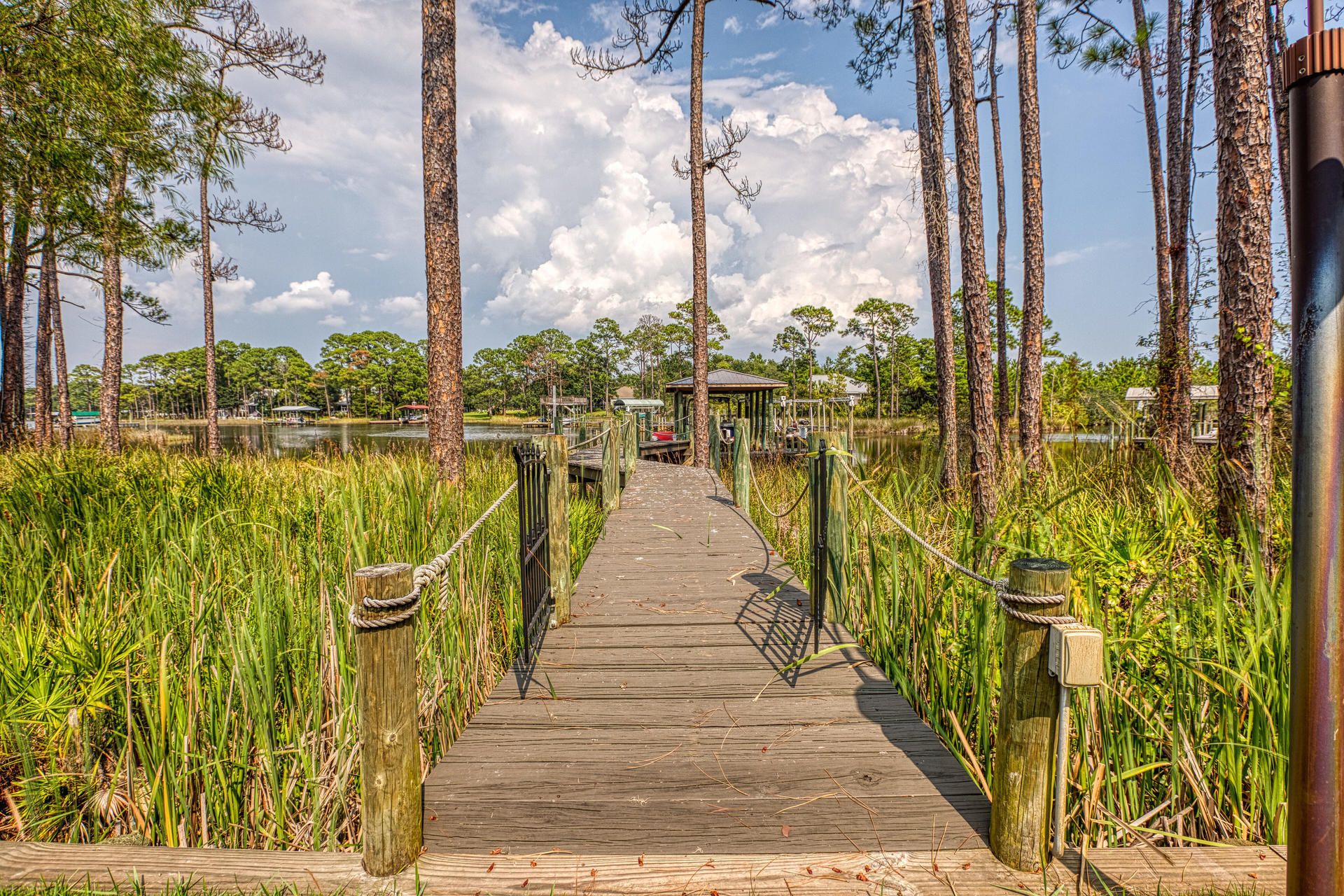 160 Grand Flora Way Santa Rosa Beach, FL 32459 - Photo 21 of 51 a view of a lake with a large trees