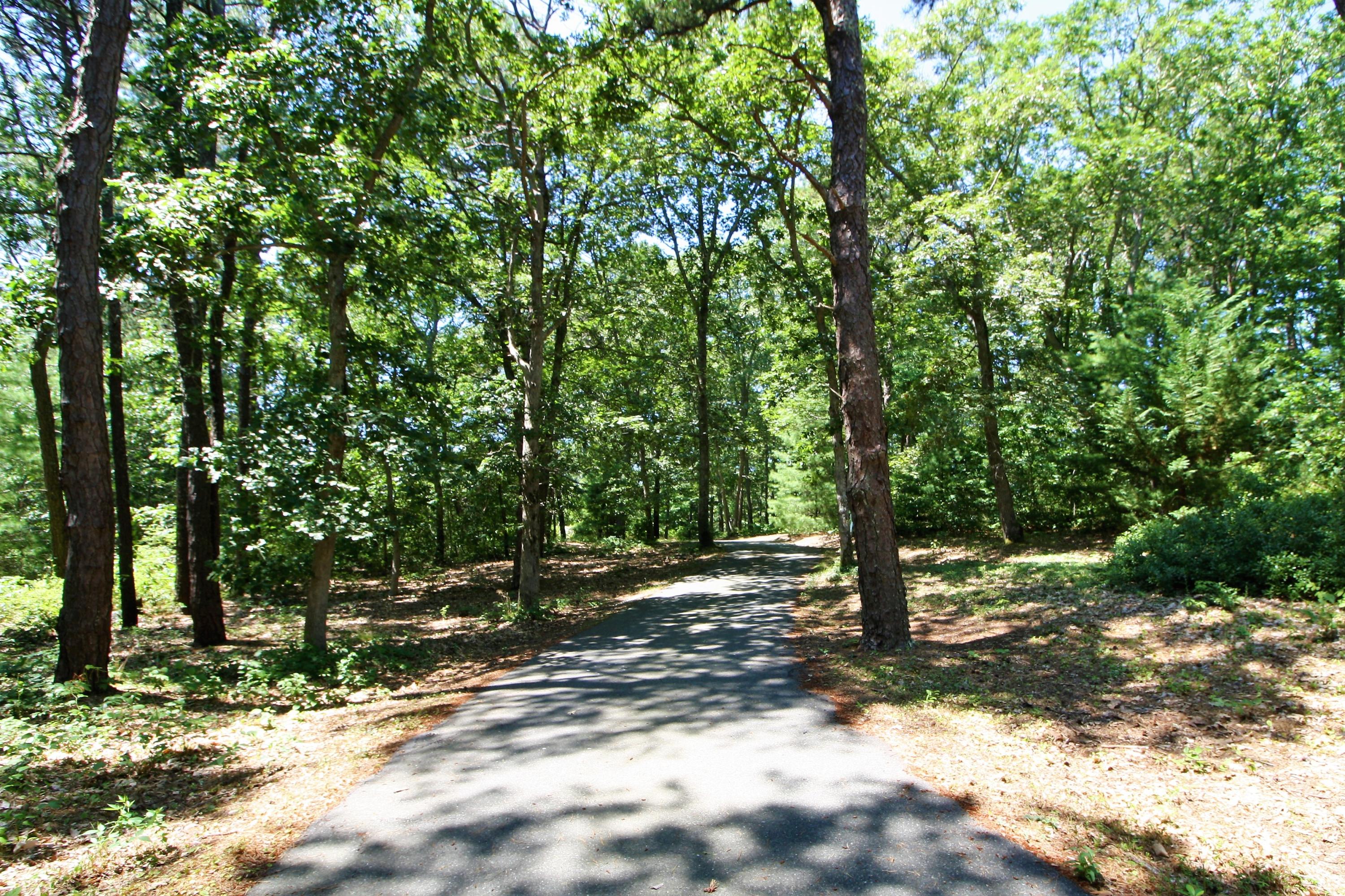 121 A P Newcomb Road Brewster, MA 02631 - Photo 39 of 40 MEANDERING