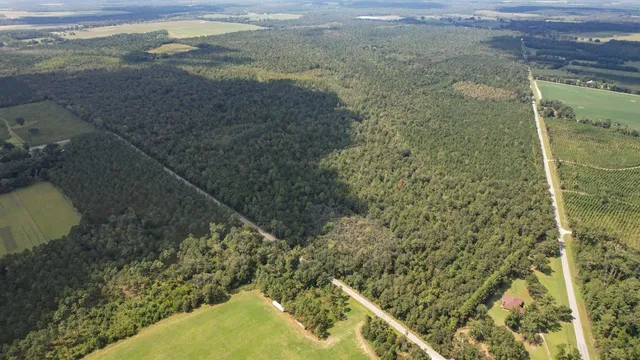 $7,168,140 | 379 Glory Road, Quincy, FL 32352