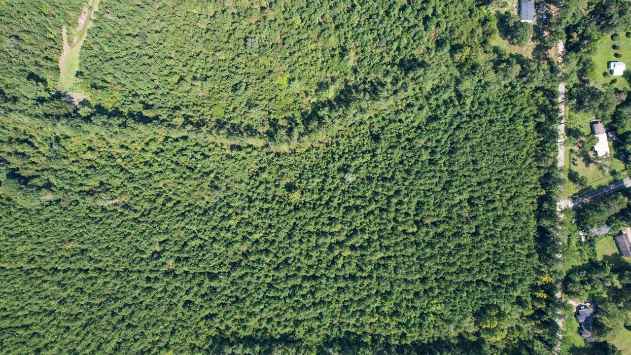 379 Glory Road Quincy, FL 32352 - Photo 12 of 27