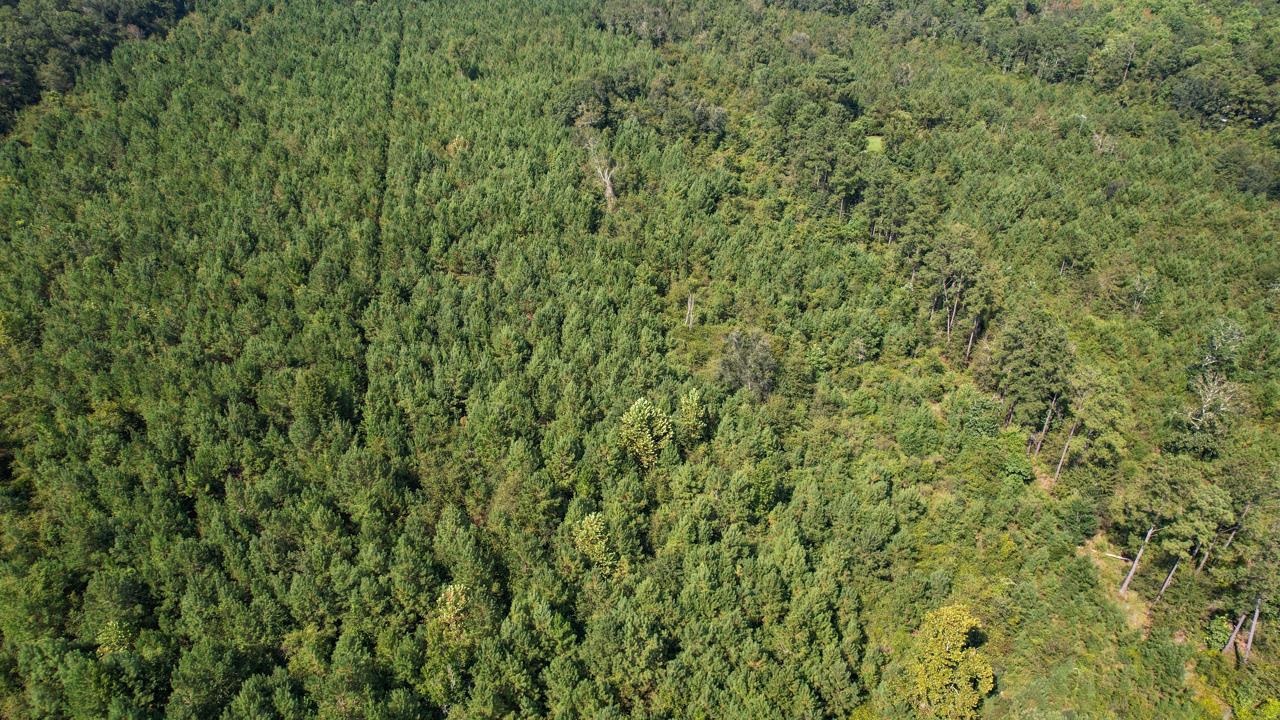 379 Glory Road Quincy, FL 32352 - Photo 13 of 27