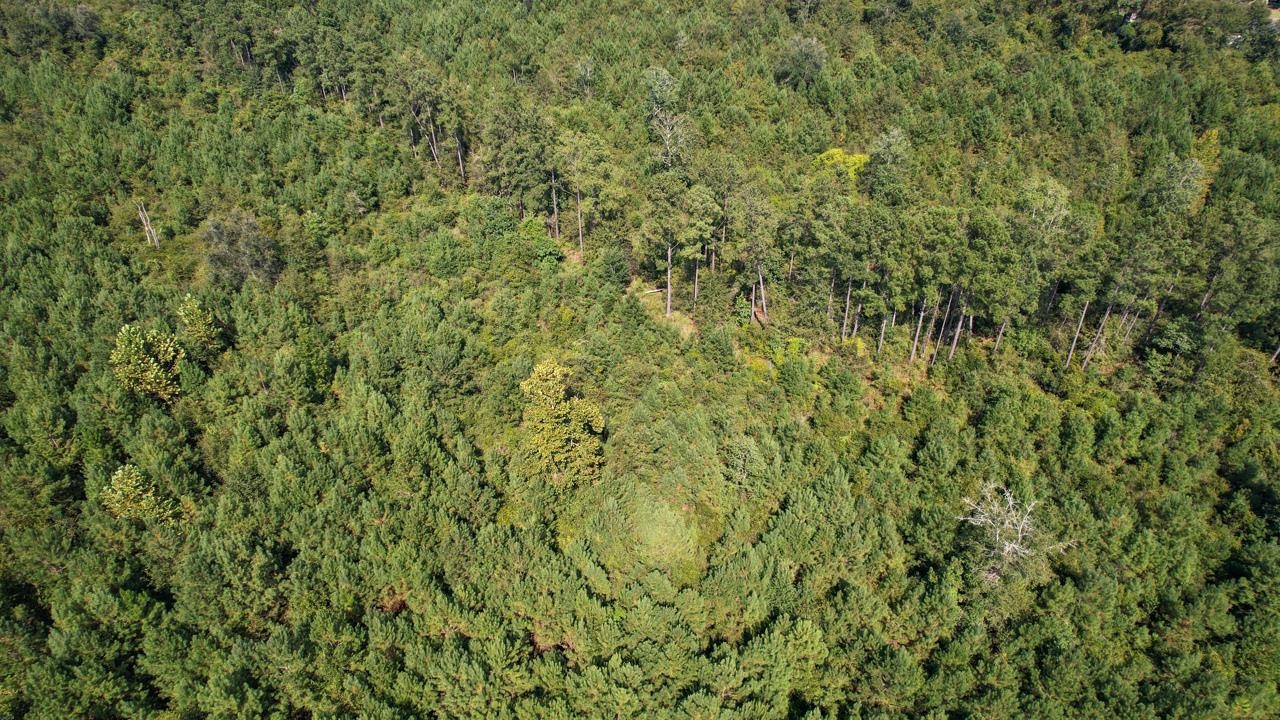 379 Glory Road Quincy, FL 32352 - Photo 14 of 27