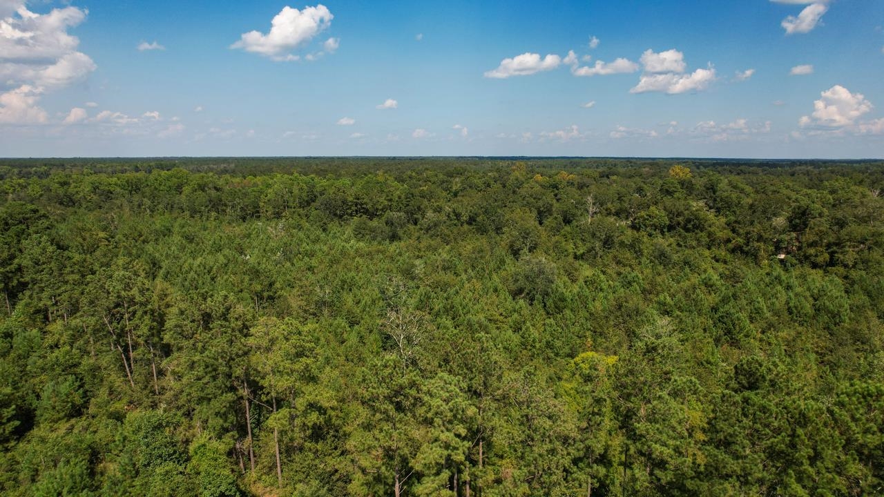 379 Glory Road Quincy, FL 32352 - Photo 15 of 27