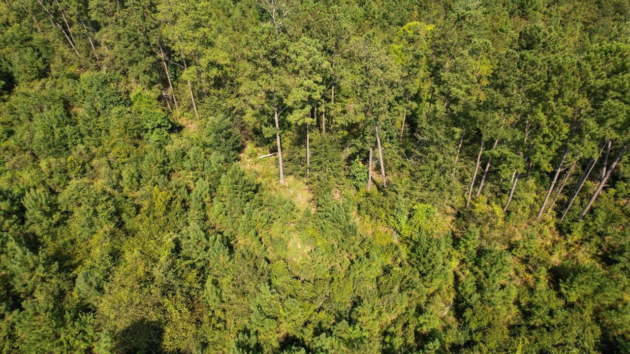 379 Glory Road Quincy, FL 32352 - Photo 16 of 27