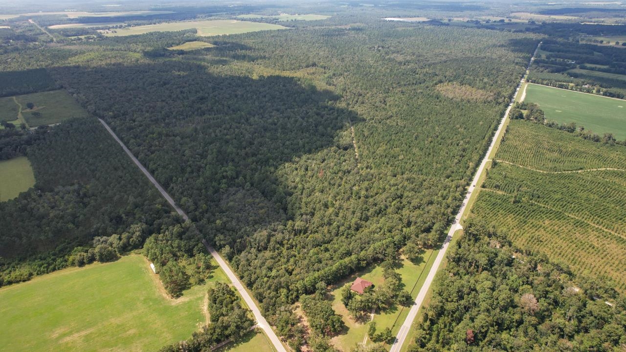 379 Glory Road Quincy, FL 32352 - Photo 2 of 27