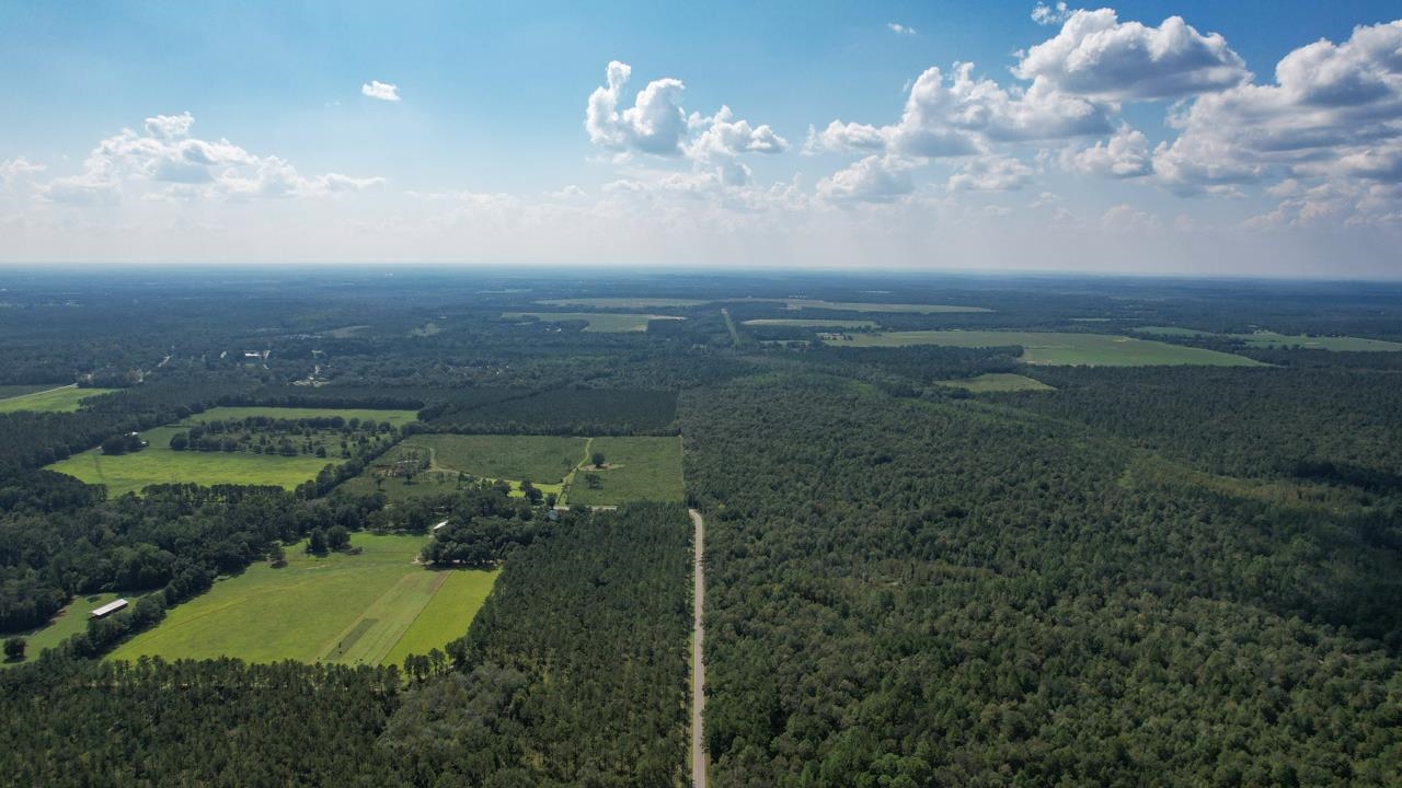 379 Glory Road Quincy, FL 32352 - Photo 21 of 27