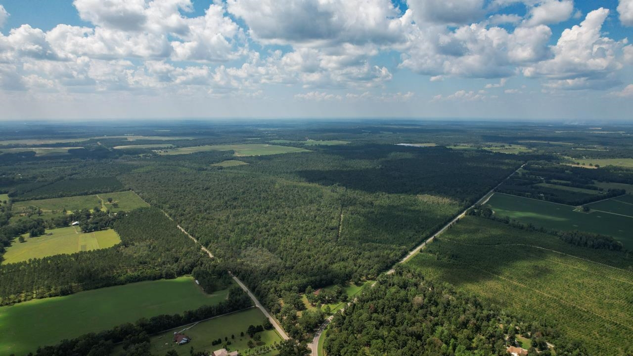 379 Glory Road Quincy, FL 32352 - Photo 22 of 27