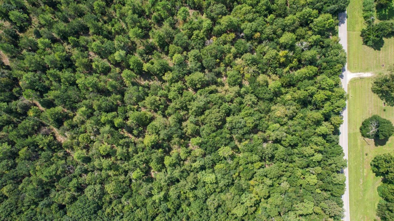 379 Glory Road Quincy, FL 32352 - Photo 5 of 27