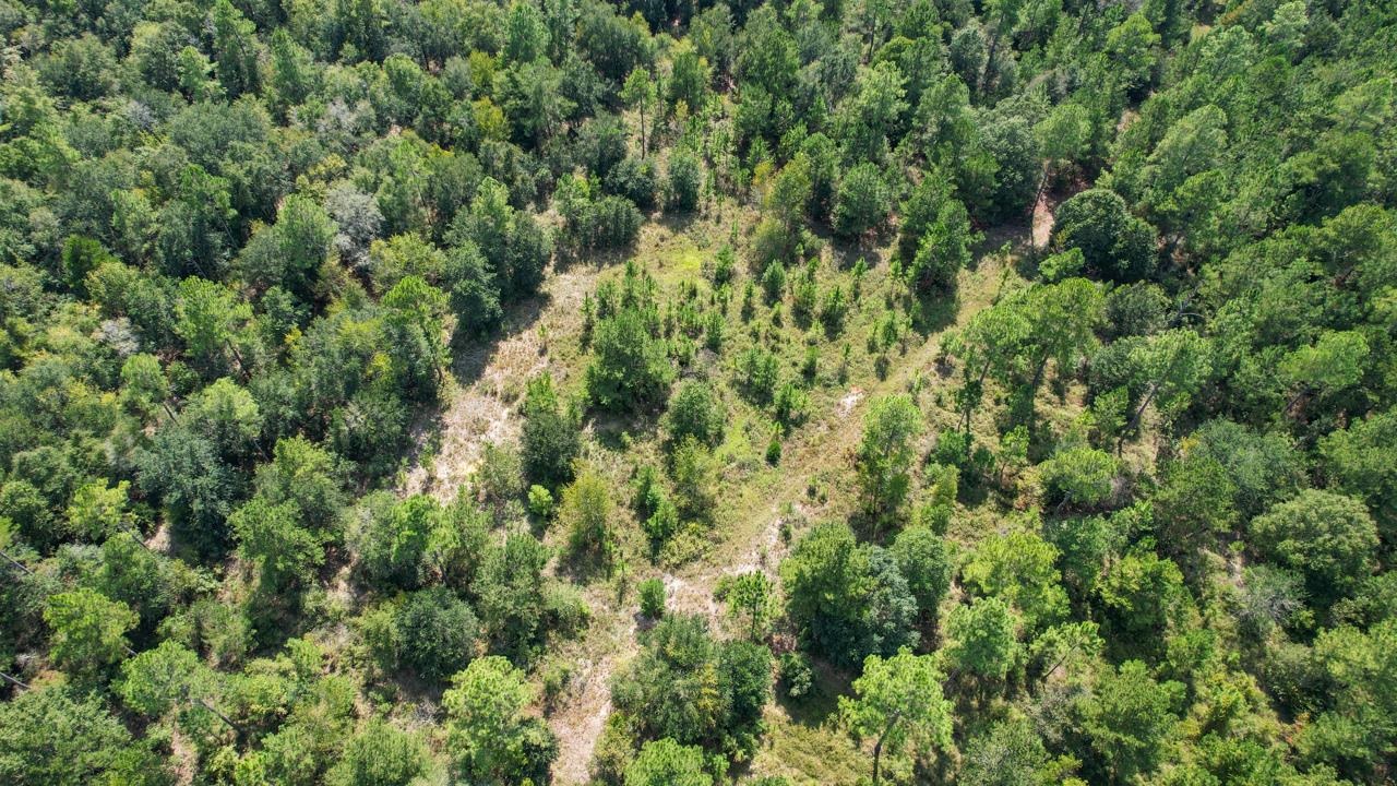 379 Glory Road Quincy, FL 32352 - Photo 6 of 27