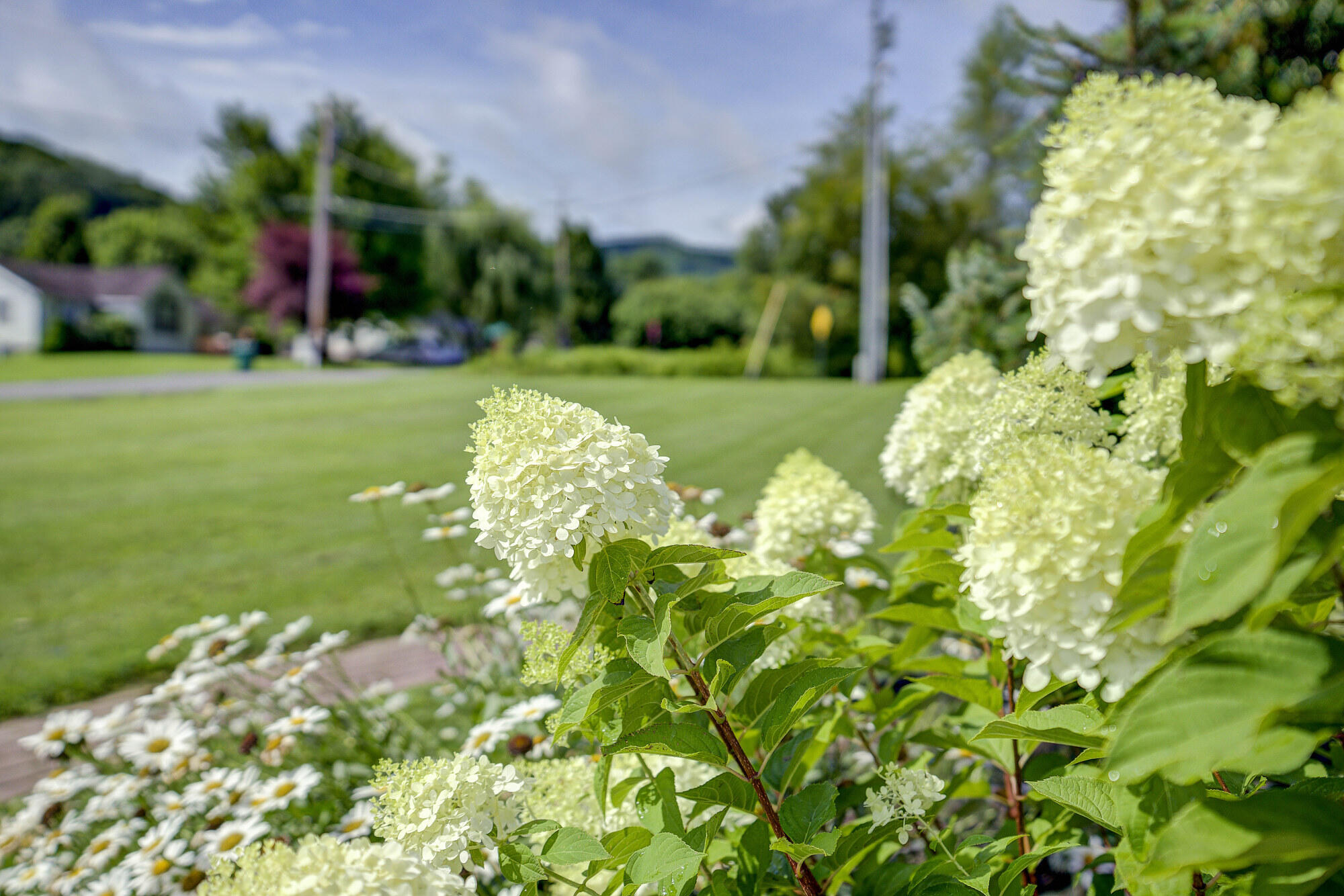 2534 Siam Road Elizabethton, TN 37643 - Photo 5 of 61 landscape