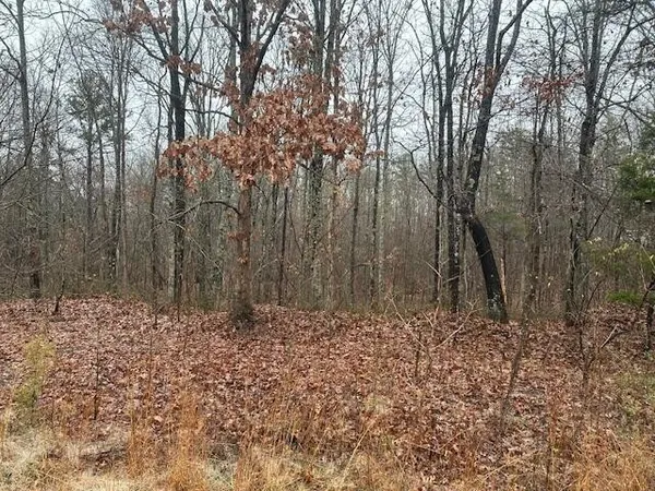 a view of a yard with trees