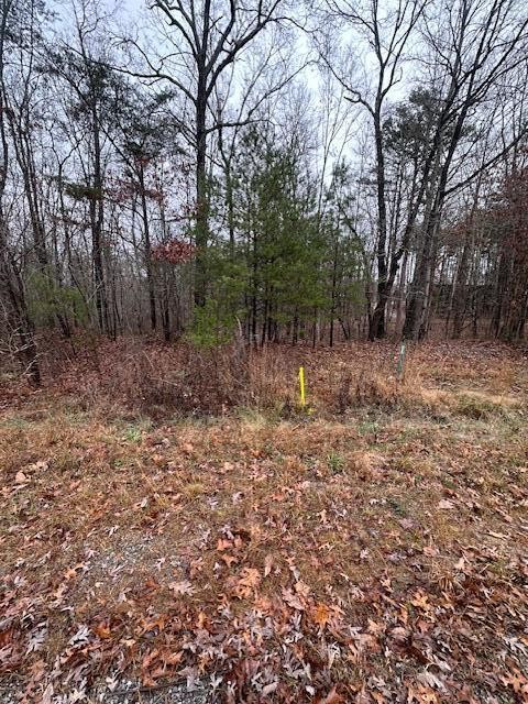 2080 Teludachee Trail Guild, TN 37340 - Photo 4 of 10