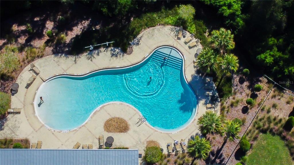 6362 Spider Lily Way New Port Richey, FL 34653 - Photo 3 of 47 an aerial view of a swimming pool
