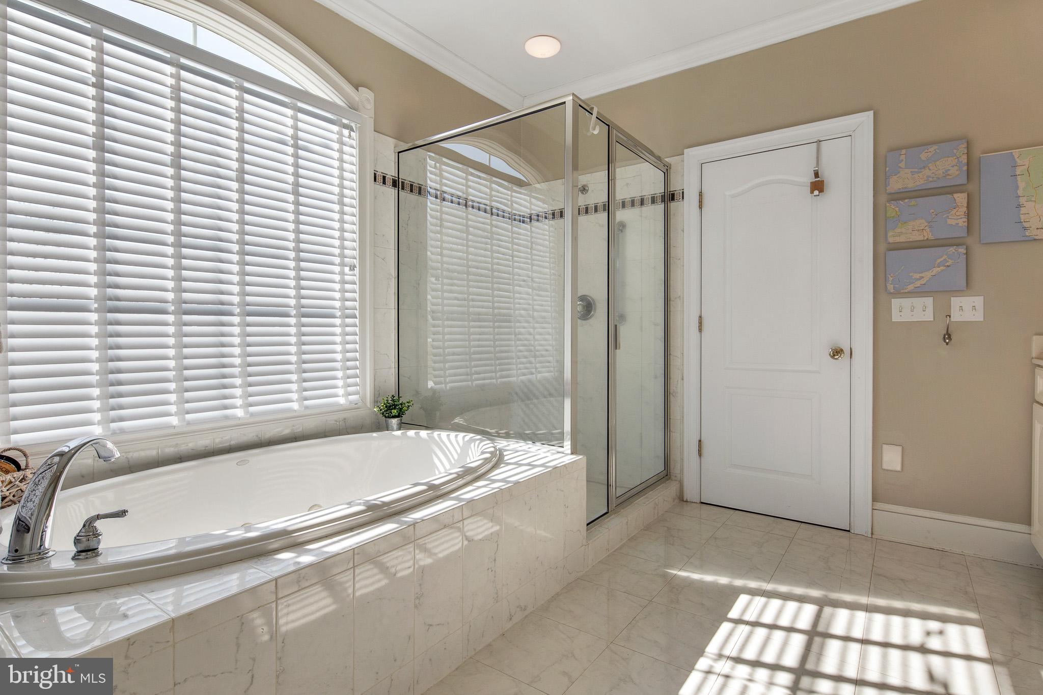 481 Budds Landing Road Warwick, MD 21912 - Photo 36 of 61 Master bath
