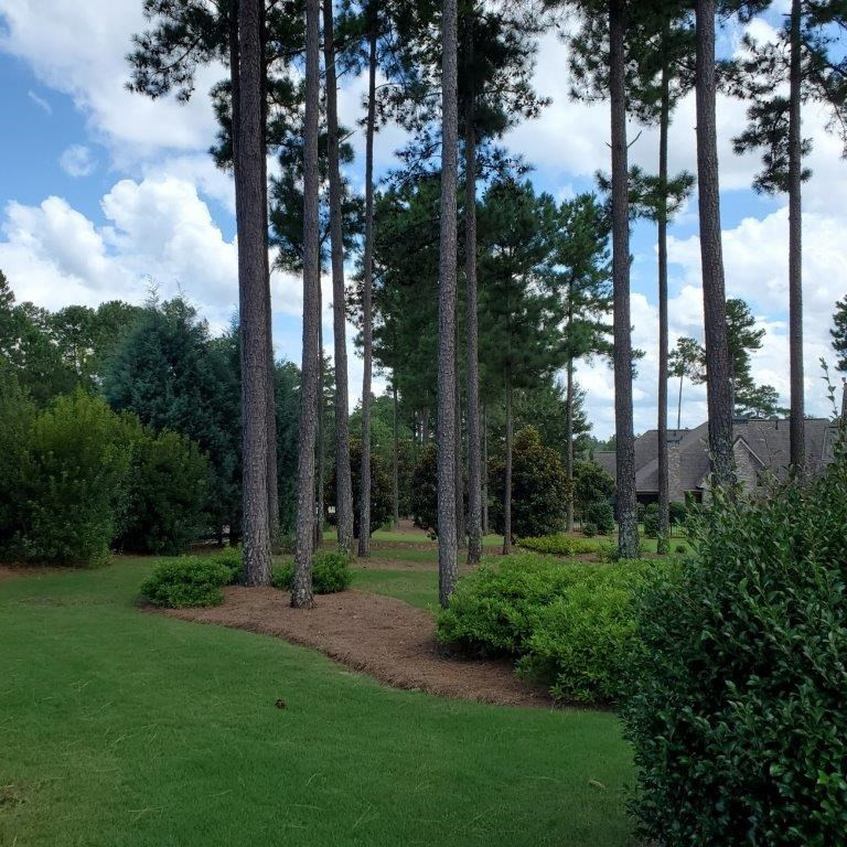 111 Pinyon Pine Loop Aiken, SC 29803 - Photo 36 of 44