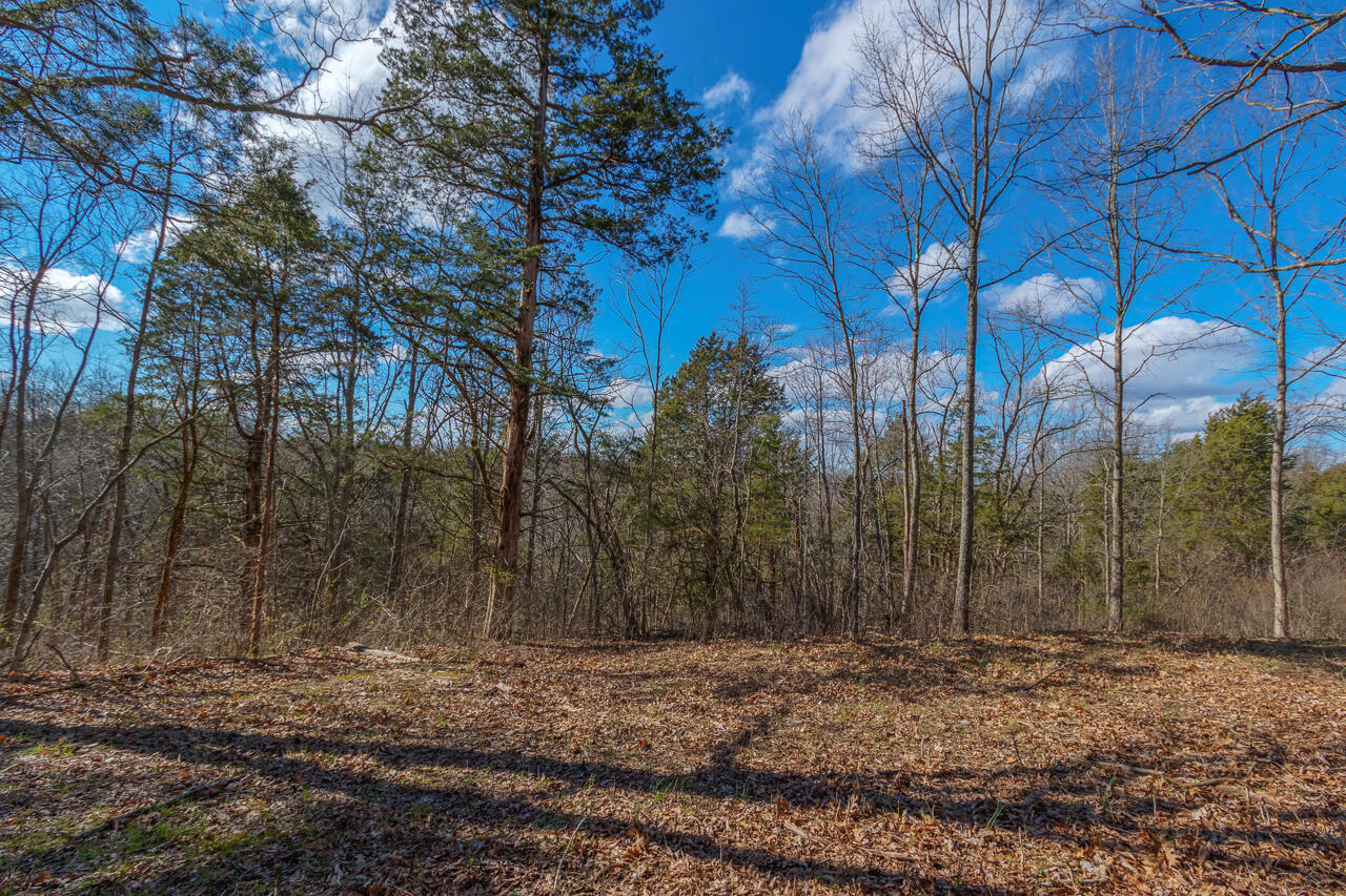 1 Camp Pleasant Road Frankfort, KY 40601 - Photo 28 of 67 059-2918-Cedar-Rd-Stamping-Ground-KY-403