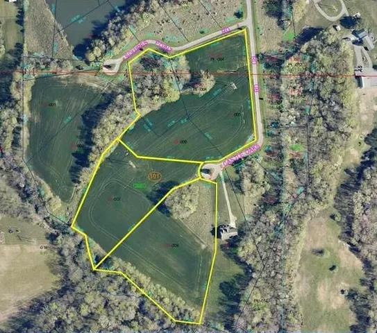 a view of a field with an trees