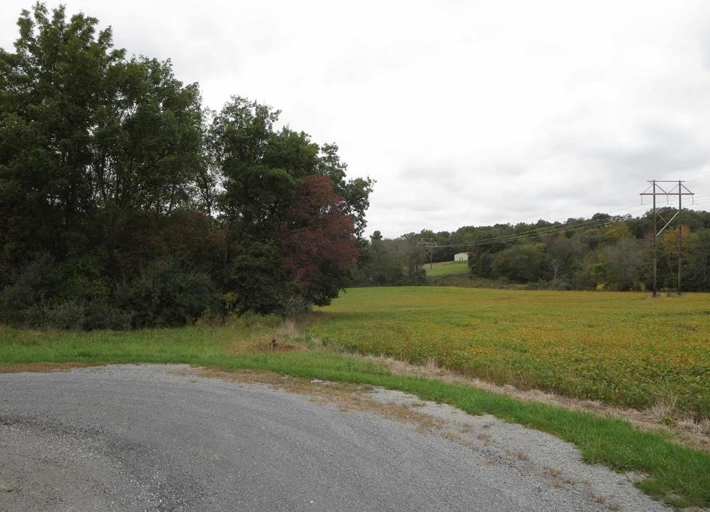 1924 Castle Oaks Road Pittsburg, IL 62974 - Photo 3 of 14 a view of a field with an trees