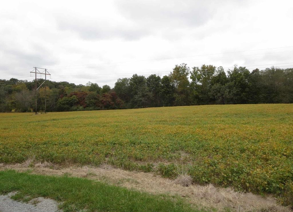 1924 Castle Oaks Road Pittsburg, IL 62974 - Photo 4 of 14 a view of a field with an ocean view