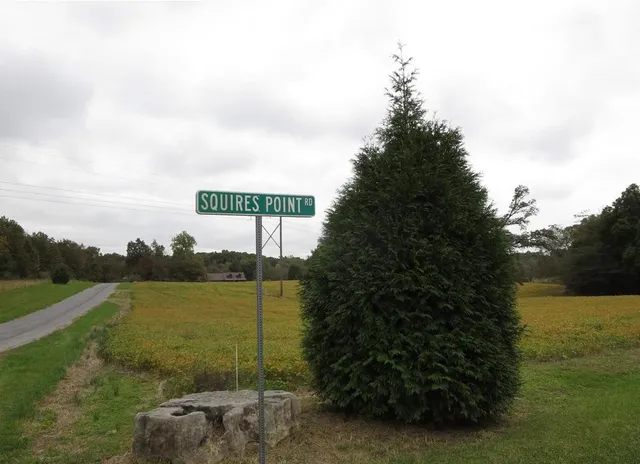 a view of a field with an ocean view